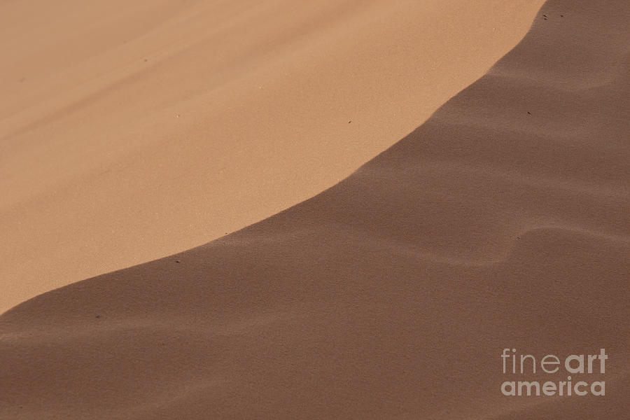 Kanab Photograph - Coral Pink Sand Dunes  F1069  by Stephen Parker