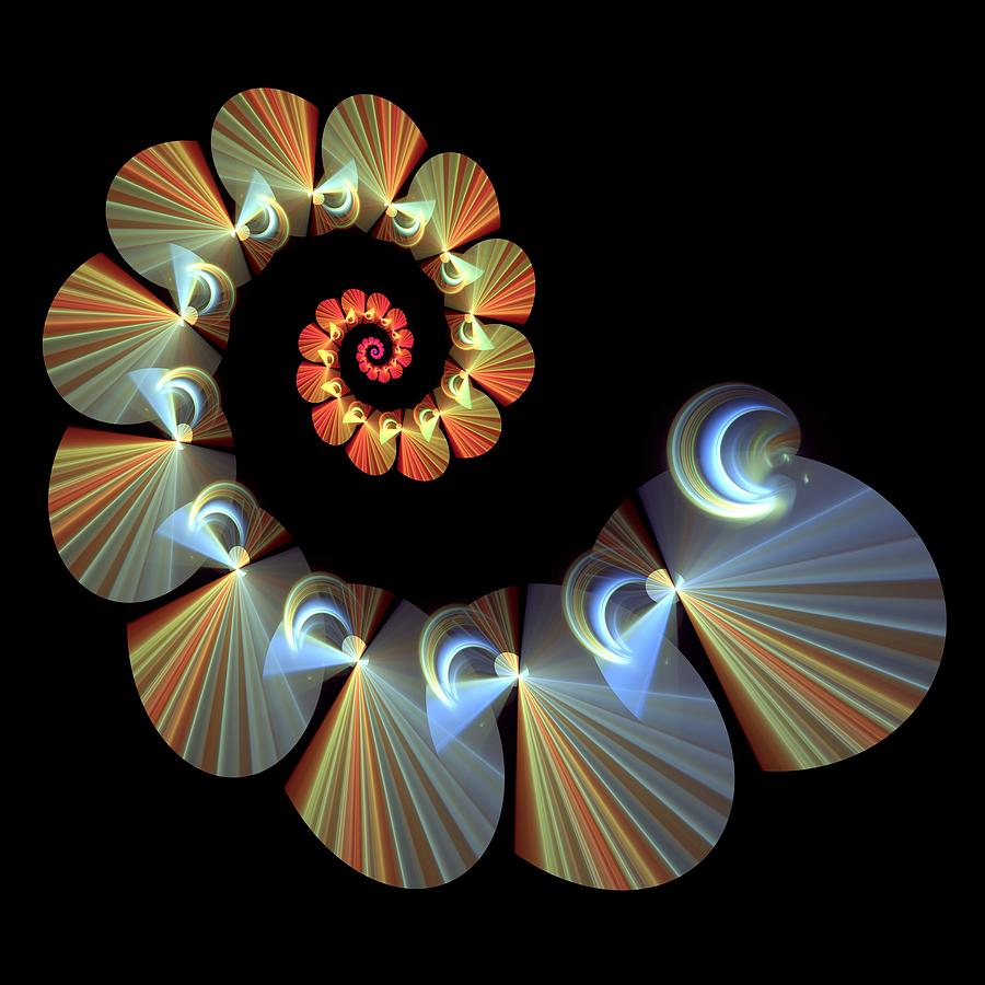 Coral and Silver Spiral Fractal Art Design Digital Art by Susanne McGinnis