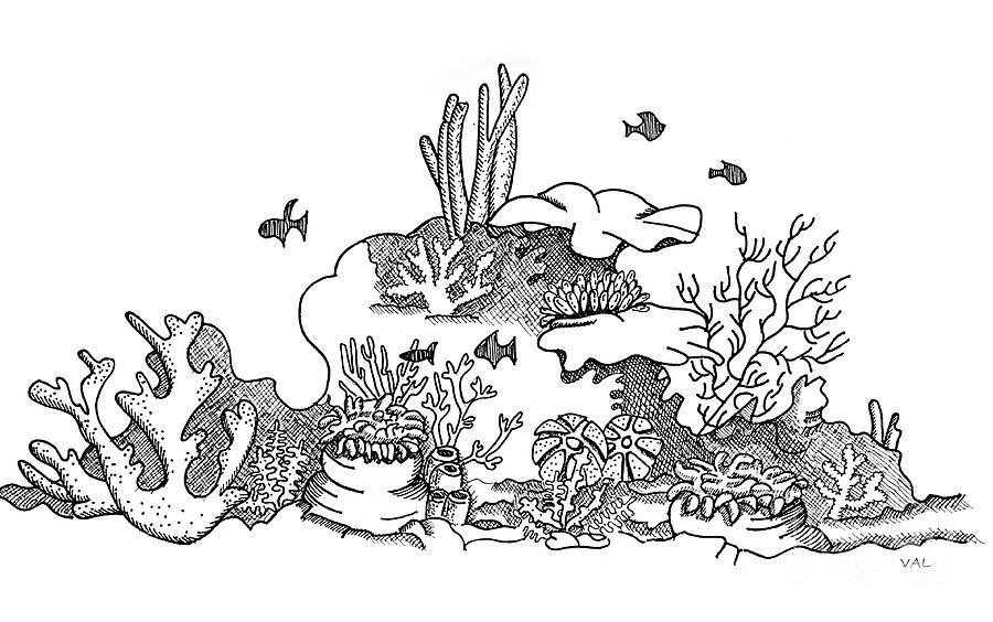 Fish Drawing - Ocean Coral With Fish Drawing by Valerie Van Horne