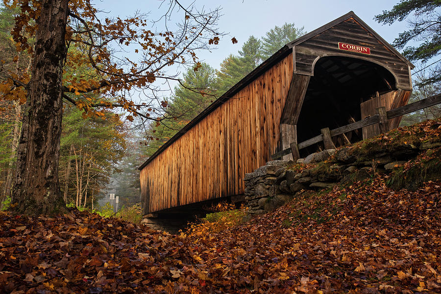 Corbin Covered Bridge in the Fall Newport NH Carpet of Leaves Photograph by Toby McGuire