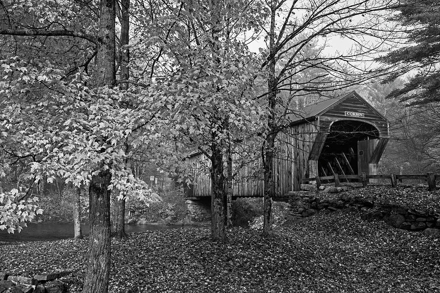 Corbin Covered Bridge in the Fall Newport NH Orange Tree Black and White Photograph by Toby McGuire