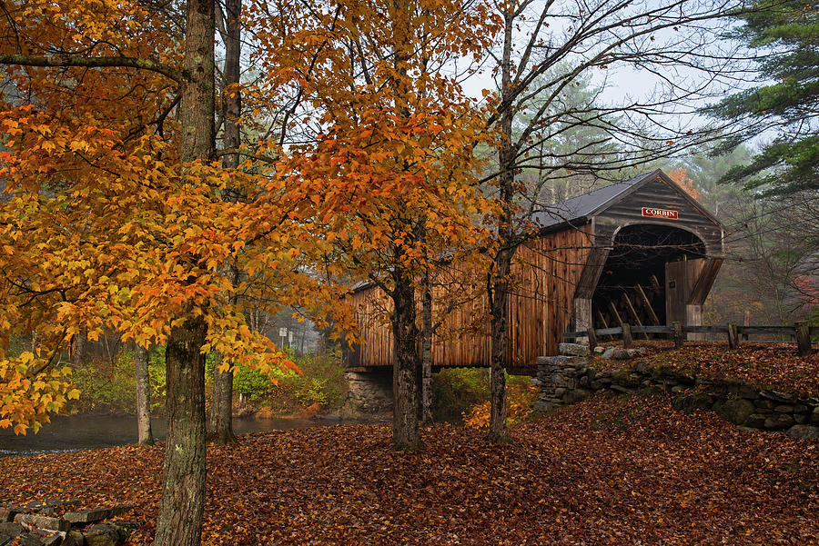 Corbin Covered Bridge in the Fall Newport NH Orange Tree Photograph by Toby McGuire