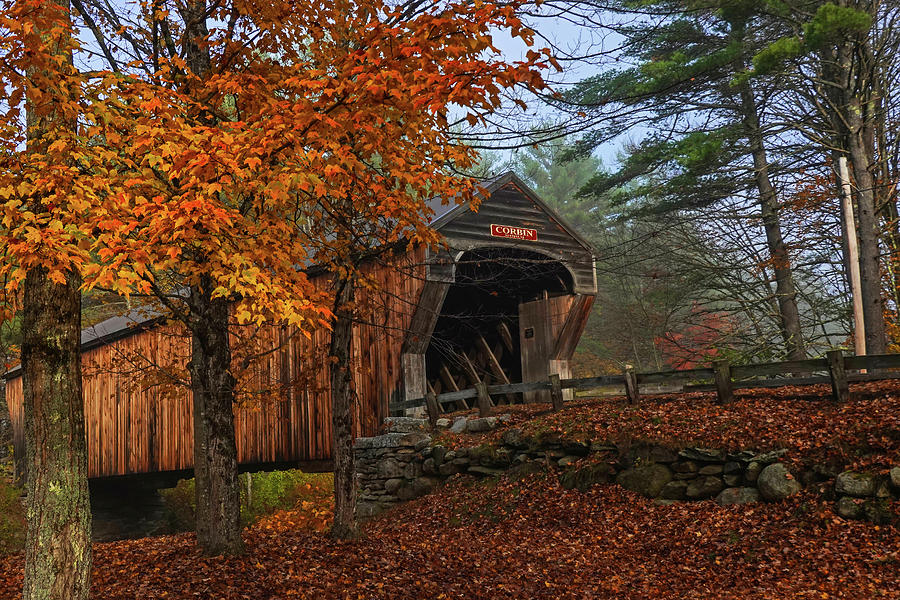 Corbin Covered Bridge in the Fall Newport NH Photograph by Toby McGuire
