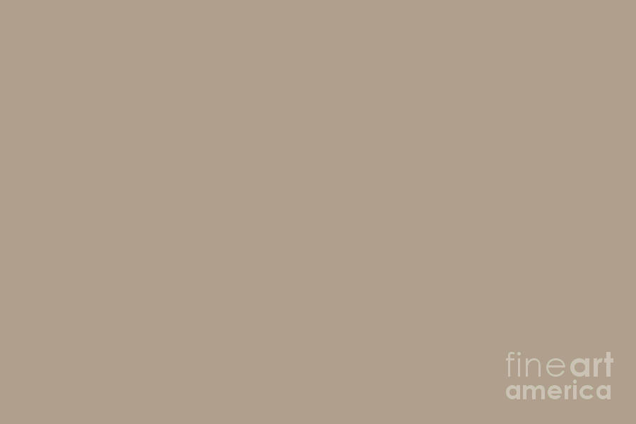 Cordial Taupe Neutral Beige Khaki Solid Color Pairs To Sherwin Williams Trusty Tan SW 6087 Digital Art by PIPA Fine Art - Simply Solid