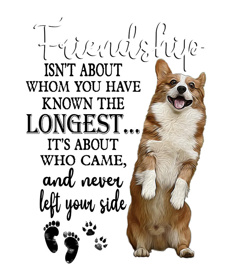 Corgi Friendship Isn't About Whom You Have Known Digital Art by Fancy ...