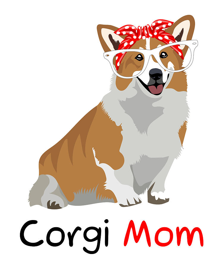 I'm Not Short I'm Corgi Size Sports Bra AOP, Funny Cute Sports Bra, Gift  for Corgi Owner, Corgi Lover,gift for Dog Lover,gift for Dog Mom 