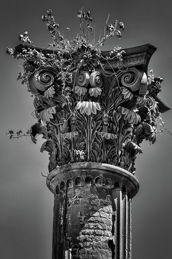 Corinthian Column Capital Photograph by Susan Rissi Tregoning