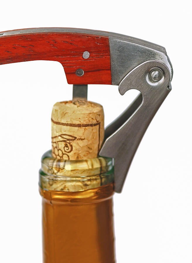 Corkscrew  in a wine bottle Photograph by Aizram18