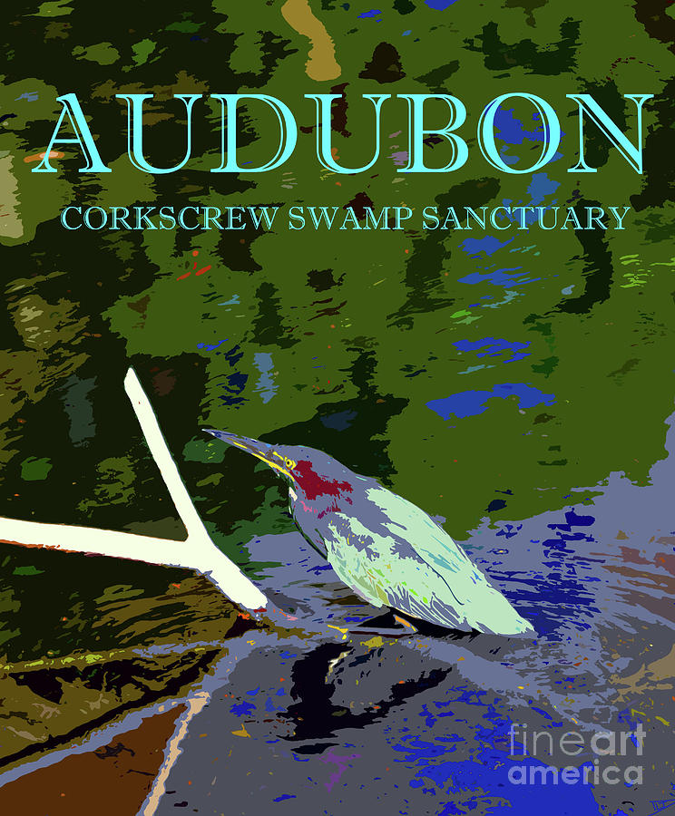 Corkscrew Swamp Sanctuary And Heron Mixed Media