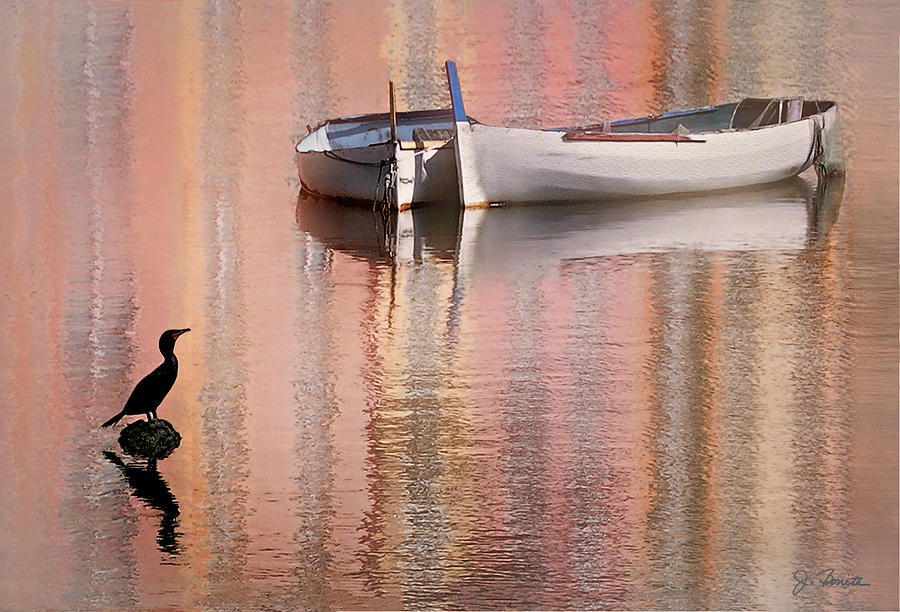 Boat Photograph - Cormorant and Boats by Joe Bonita