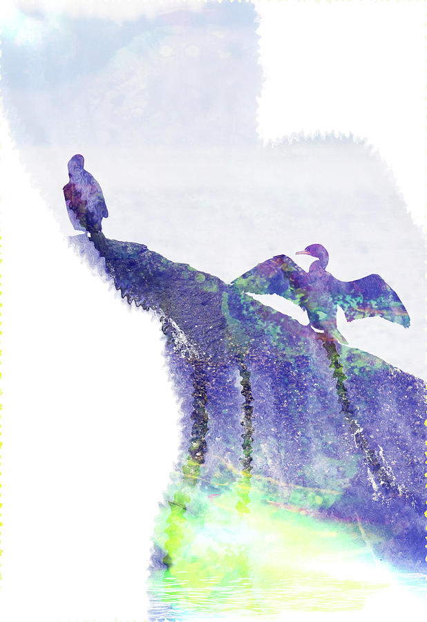 Cormorant Drying Her Wings Digital Art by Marie Jamieson