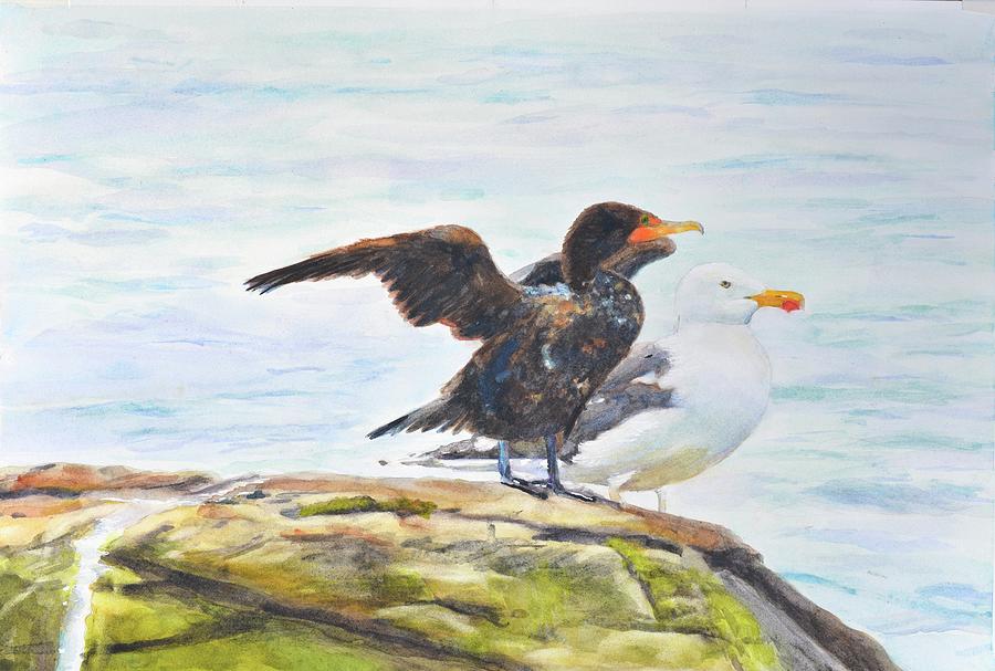Cormorant Drying its Wings with Seagull Painting by Patty Kay Hall