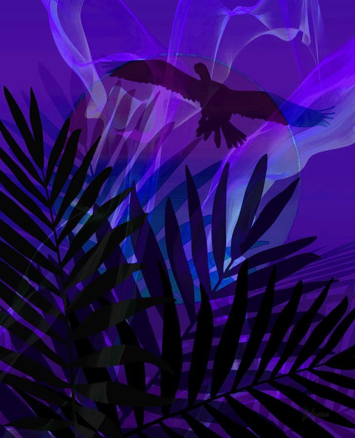 Cormorant Takes Flight On Magical Night Digital Art by Joan Stratton