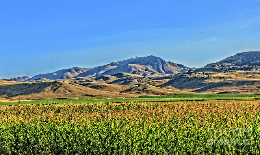 Corn And Squaw Butte Photograph by Robert Bales