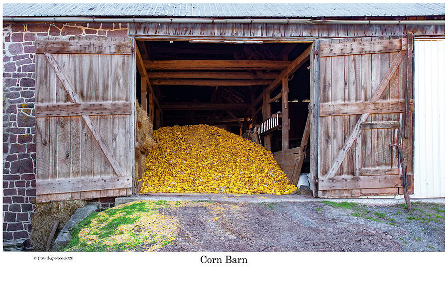 Corn Barn Photograph by David Speace