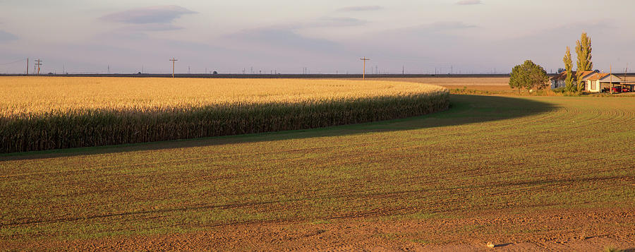 Corn Circle near Sunset Photograph by Steve Templeton