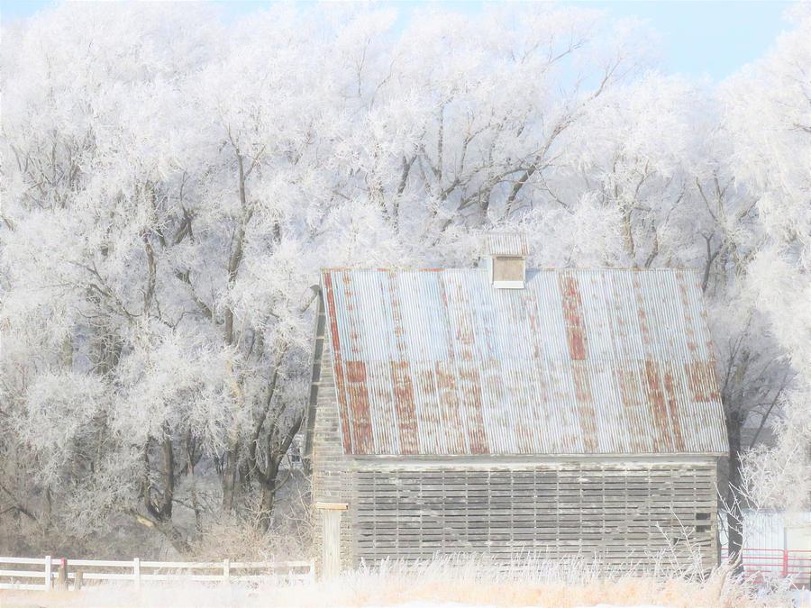 Corn Crib and Frosted Trees  Photograph by Lori Frisch