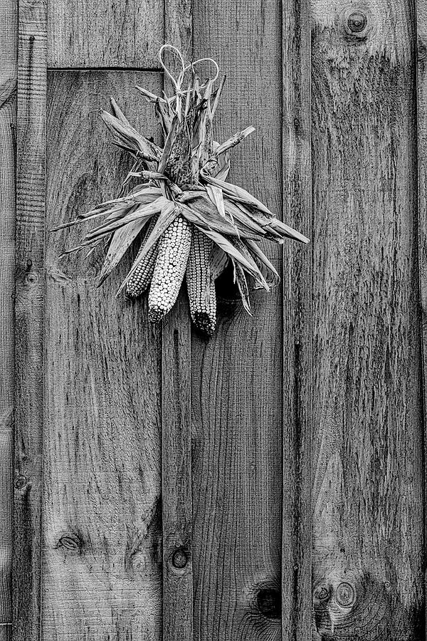 Corn Crib Wooden Door BW Photograph by Susan Candelario
