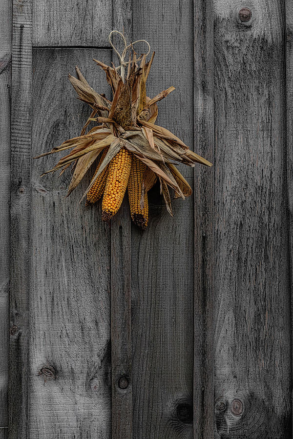Corn Crib Wooden Door Photograph by Susan Candelario