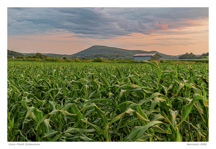 Mountain Photograph - Corn Field Extensions The Signature Series by Angelo Marcialis