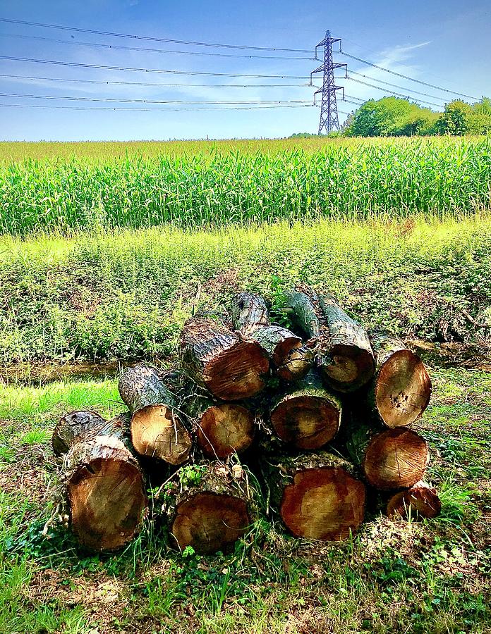 Corn Field, Logs And Pylon Photograph by Gordon James