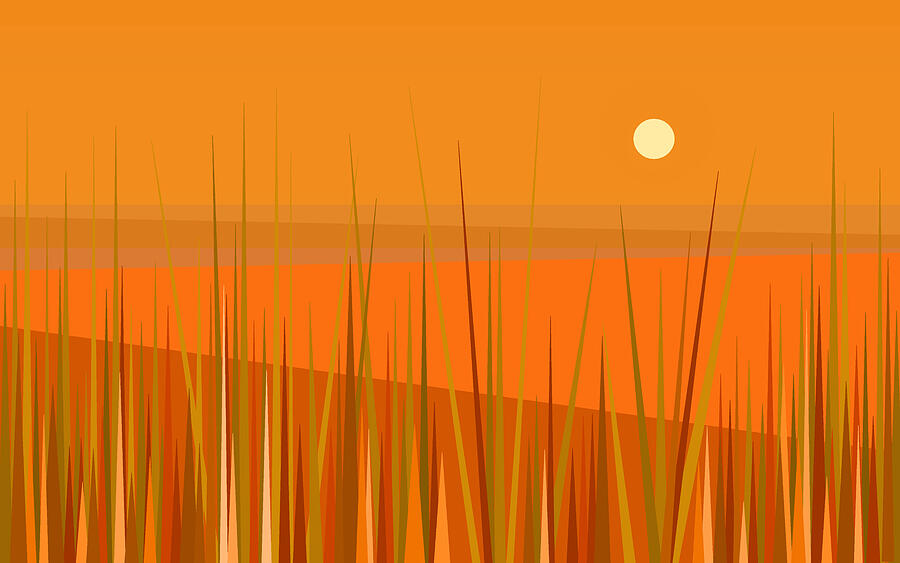 Landscape Digital Art - Corn Field Sunset by Val Arie