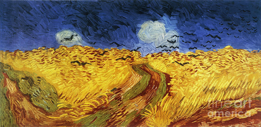 Vincent Van Gogh Painting - Corn field with Crows  AKG50663 by Vincent van Gogh