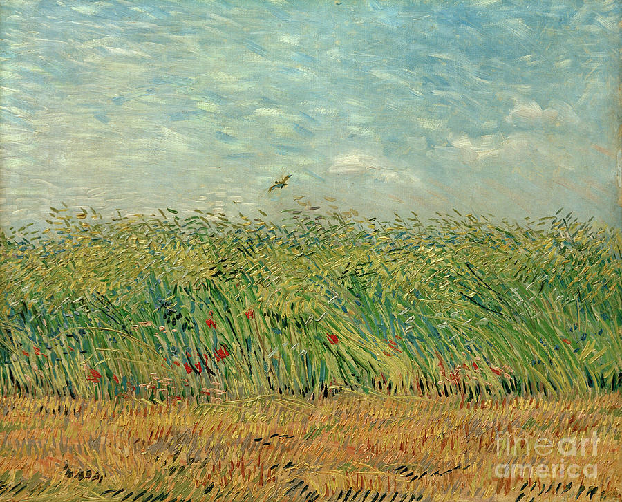 Vincent Van Gogh Painting - Corn field with poppies and partridge  AKG984846 by Vincent van Gogh