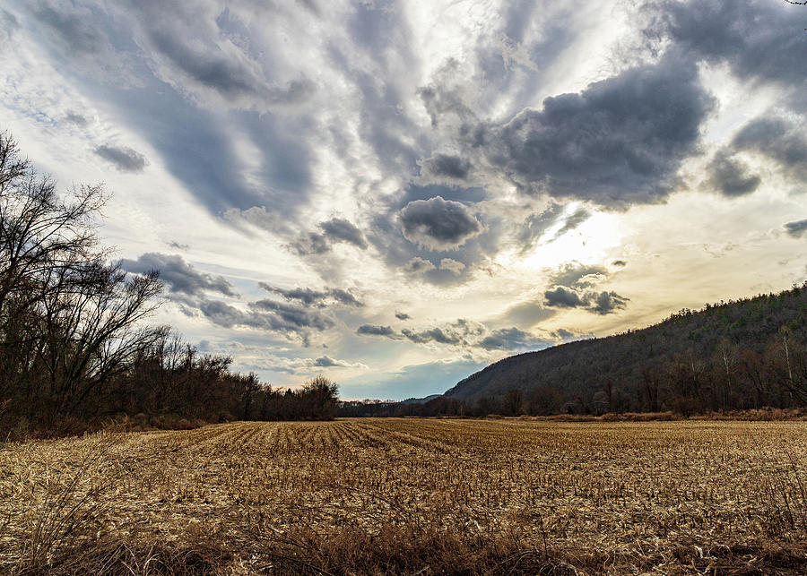 Corn Fields in Pennsylvania Photograph by Amelia Pearn