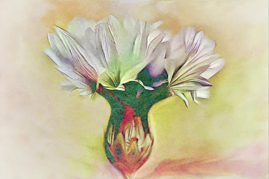 Corn Flower Close Up  Digital Art by Gaby Ethington