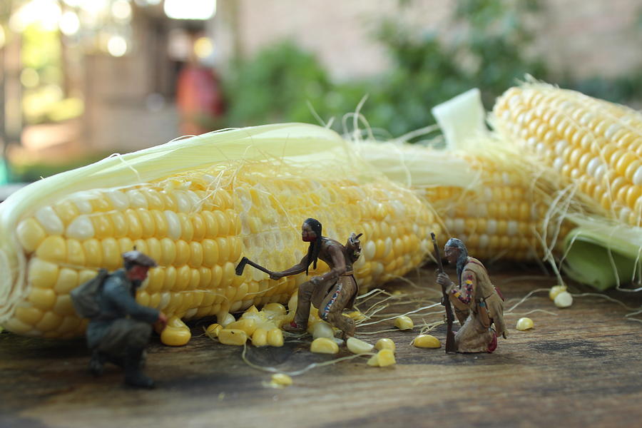 Corn Photograph by Army Men Around the House