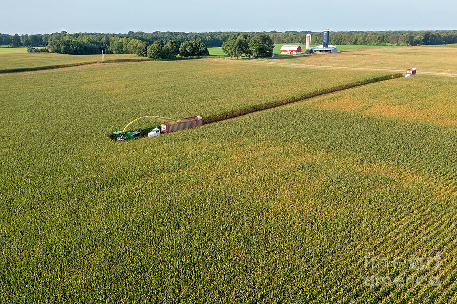 Corn Harvest 2 Photograph by Jim West