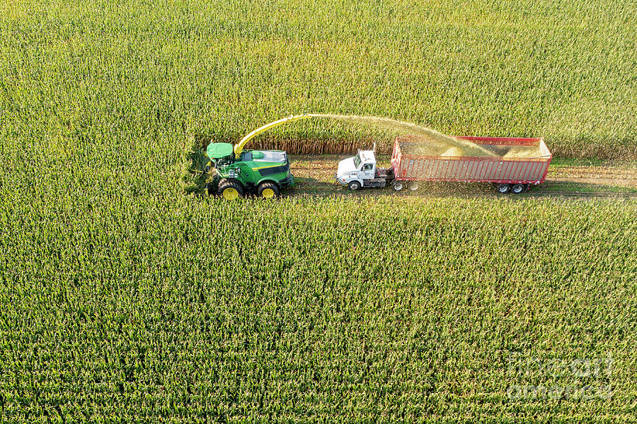 Corn Harvest 3 Photograph by Jim West