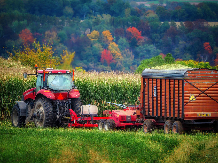 Corn Harvest Photograph by Kelly Larson