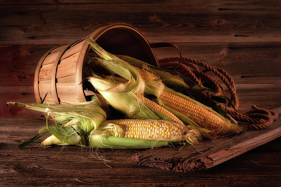 Corn Harvest Still LIfe Photograph by Tom Mc Nemar