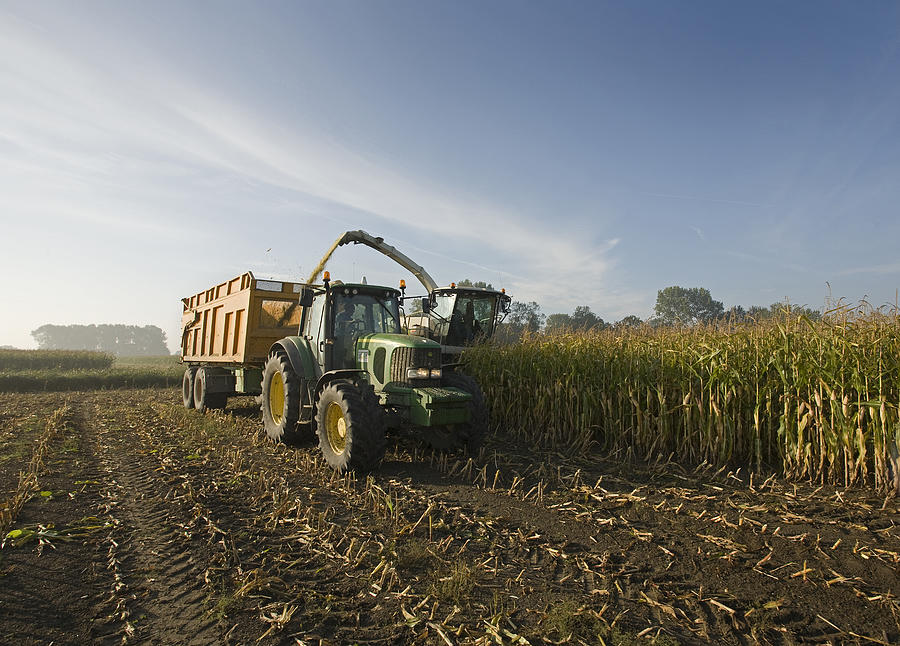 Corn Harvest With Tractor, Trailer And Combine  Photograph by Roelof Bos