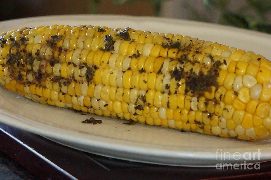 Nature Photograph - Corn On The Cob by Maxine Billings