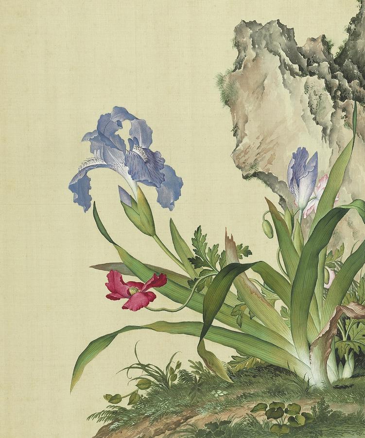 Corn poppies and fringed blue iris - Chinese flower paintings Painting by Giuseppe Castiglione Lang Shining