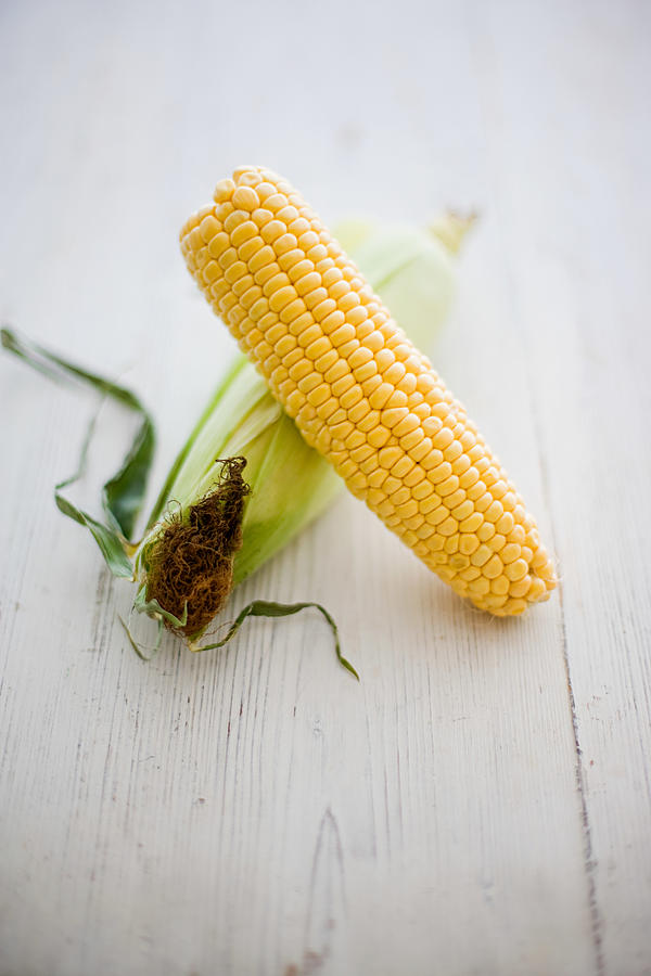 Corn resting on an unopened cob husk Photograph by Image Source