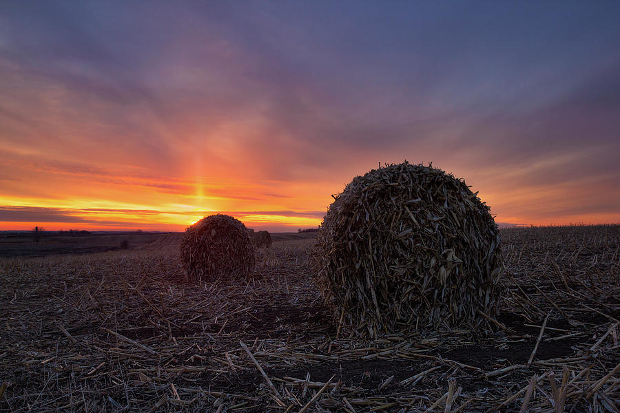 Corn Rolls  Photograph by Aaron J Groen