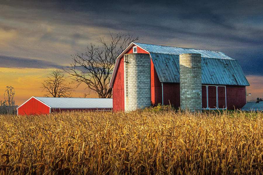 Cornfield at Sunrise with Red Barn Photograph by Randall Nyhof