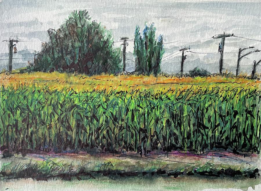 Cornfield  Painting by Les Herman