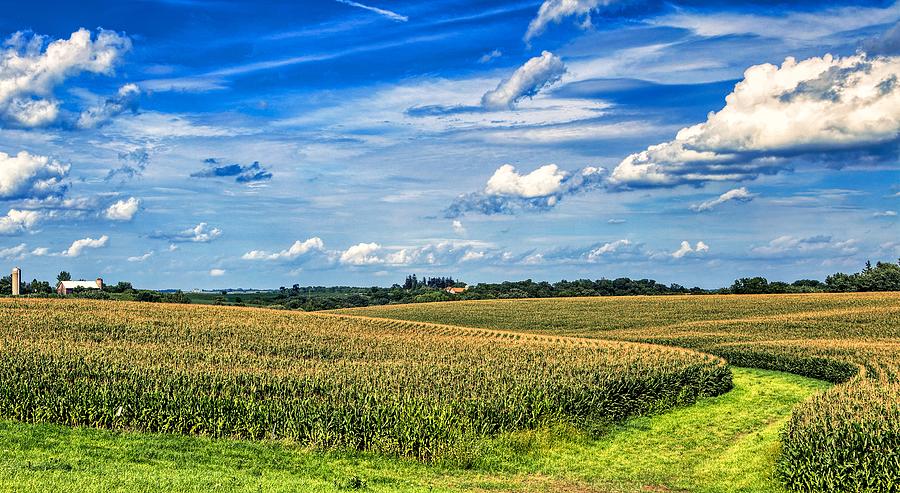 Cornfield Panorama Photograph by Mountain Dreams - Fine Art America