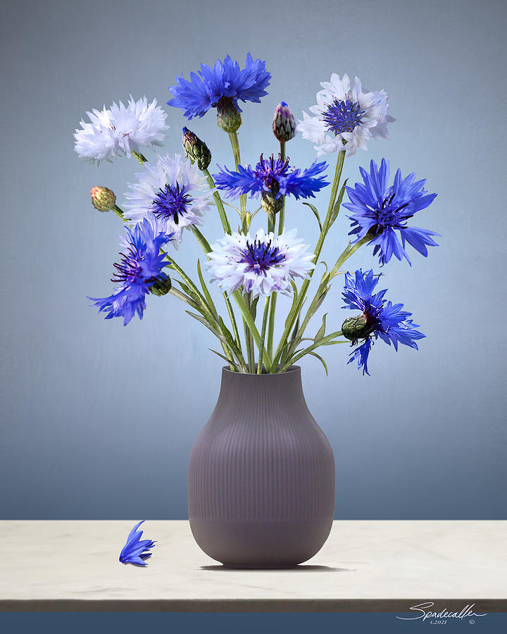 Cornflowers in Mauve Vase Digital Art by M Spadecaller