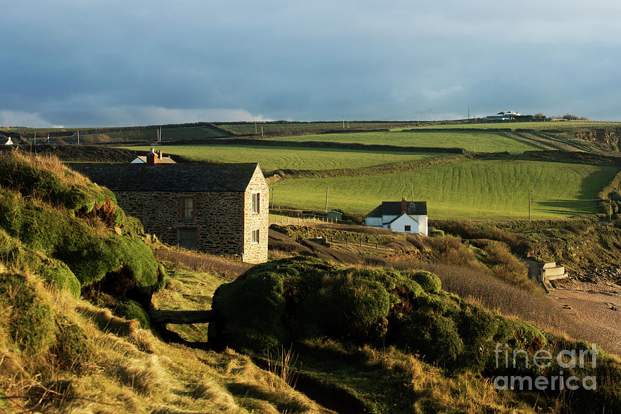 Cornish Cottage Cornish Hedge Photograph by Terri Waters