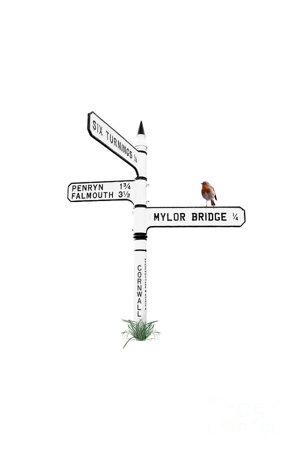 Robin Photograph - Cornish Signpost Rose Hill To Six Turnings Mylor Bridge by Terri Waters