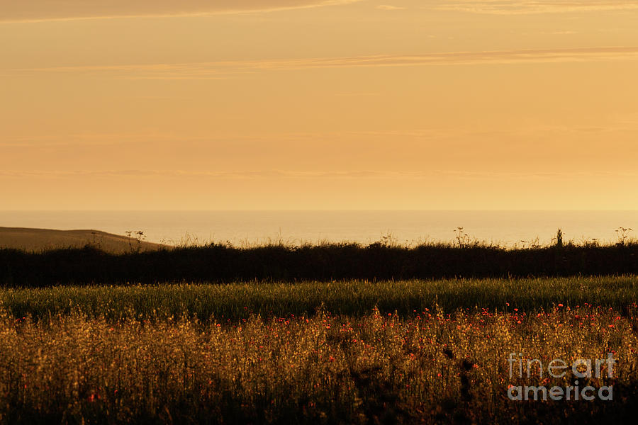 Cornish Summer Sunset Photograph by Terri Waters