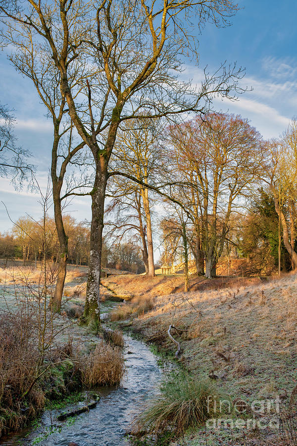 Cornwell Manor Estate Grounds in Winter Photograph by Tim Gainey