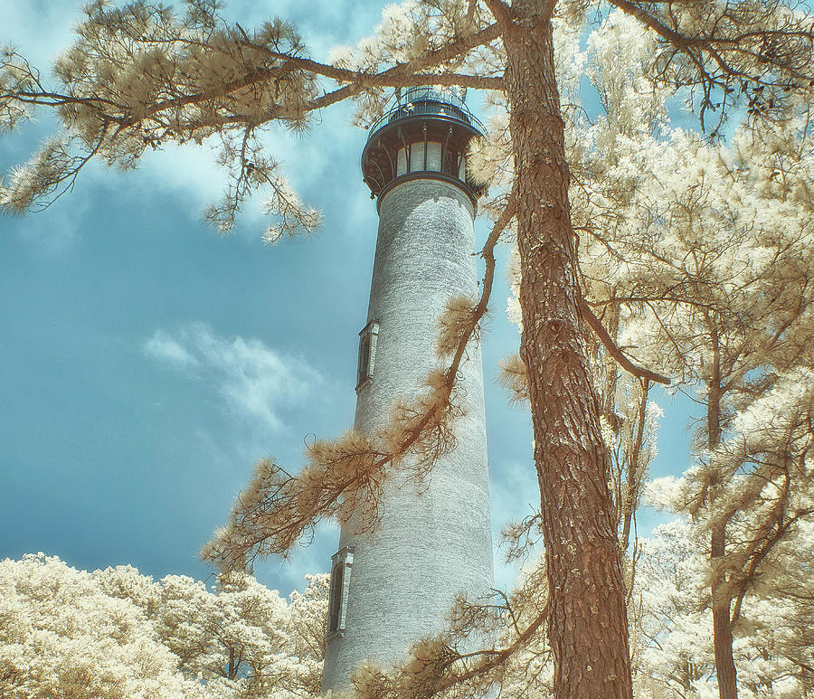 Corolla Lighthouse North Carolina Photograph by Jim Cook