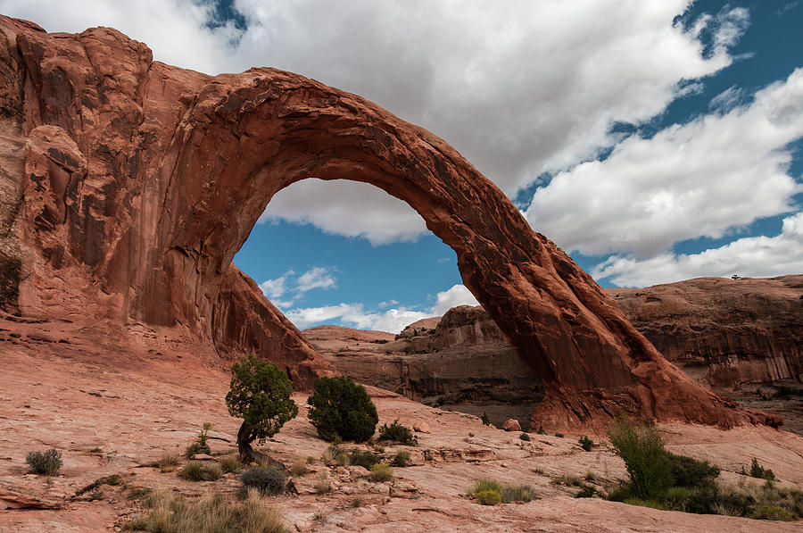 Corona Arch - 9755 Photograph by Jerry Owens